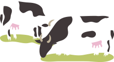 cow-group-1